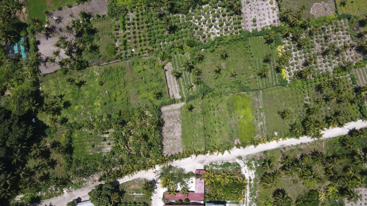 Thila Farm View Hotel Thoddoo Buitenkant foto