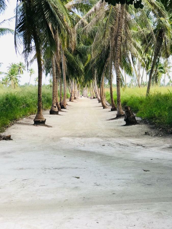 Thila Farm View Hotel Thoddoo Buitenkant foto