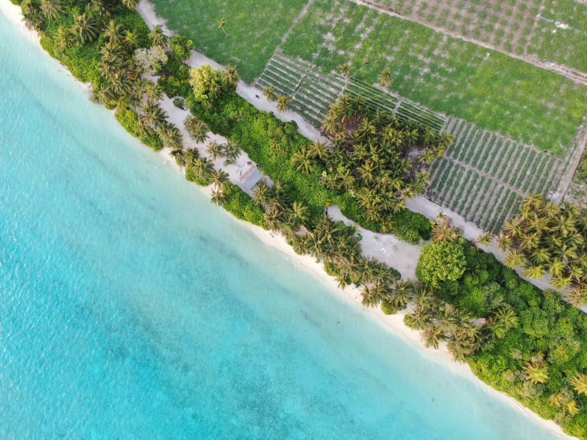 Thila Farm View Hotel Thoddoo Buitenkant foto