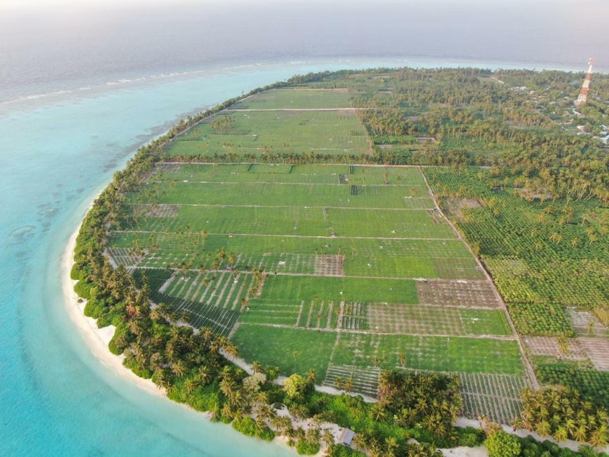 Thila Farm View Hotel Thoddoo Buitenkant foto