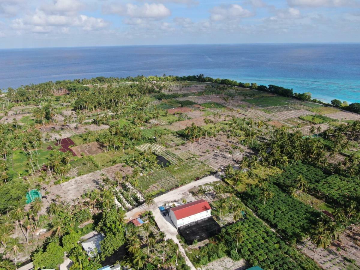 Thila Farm View Hotel Thoddoo Buitenkant foto