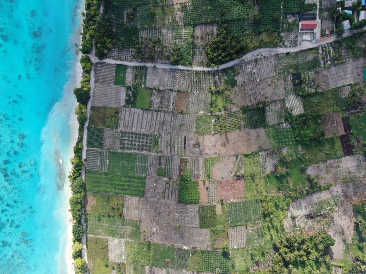 Thila Farm View Hotel Thoddoo Buitenkant foto